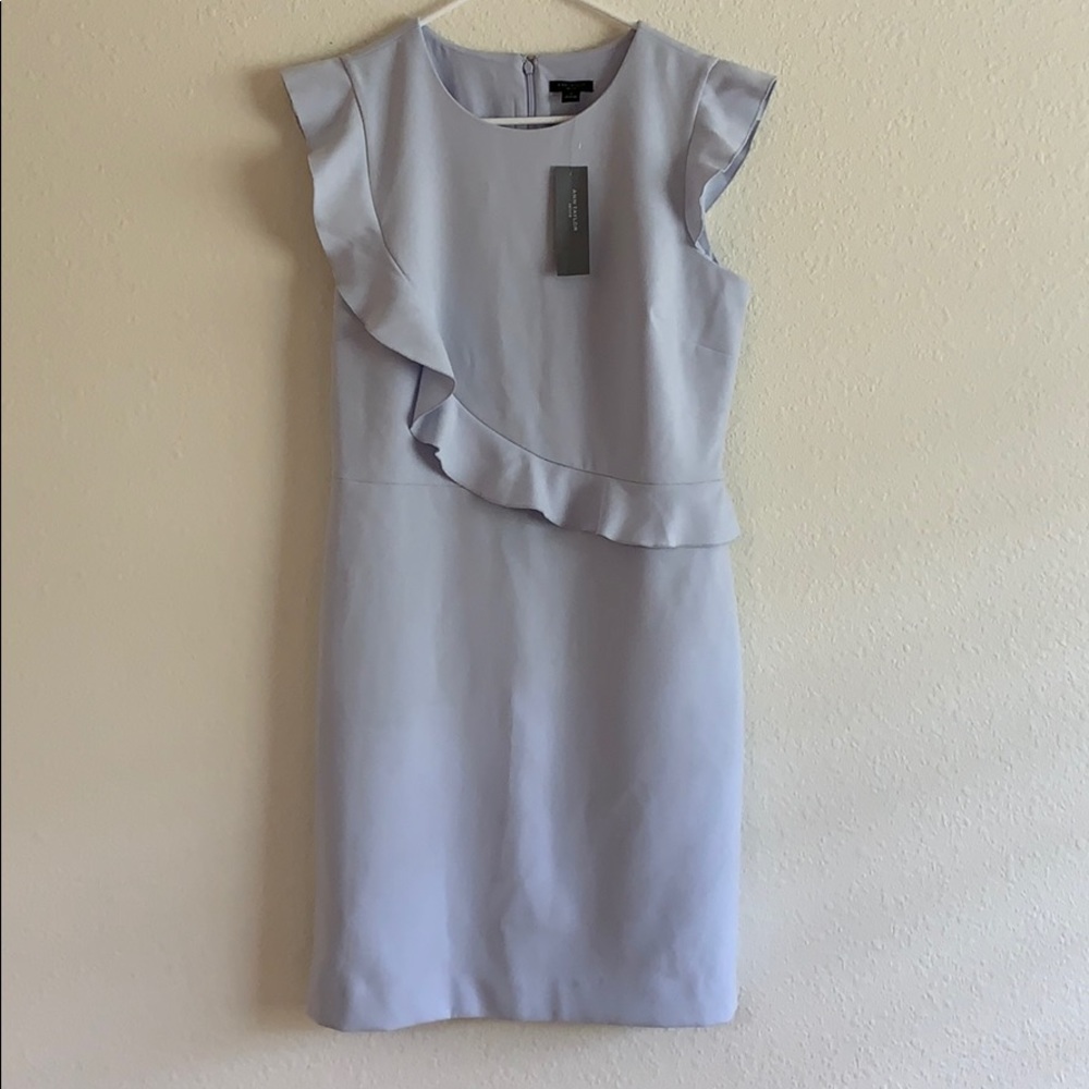 NEW Ann Taylor Petite Dress